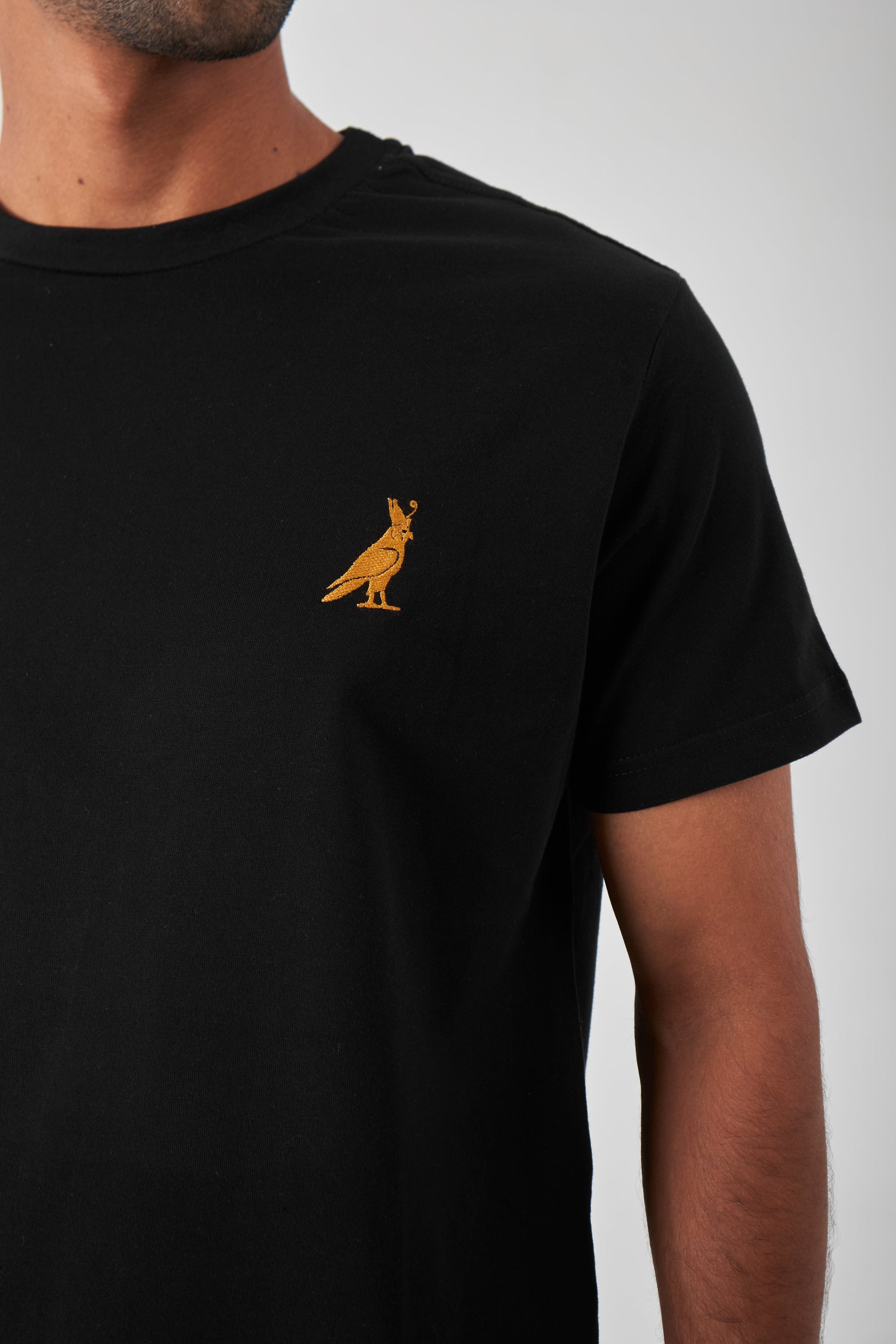 Basic Crew Neck T-Shirt  - Black